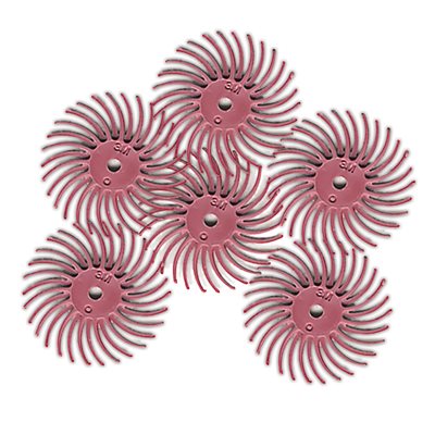 Bristle Disc 3 / 4 "pkg 6, 1200, pink