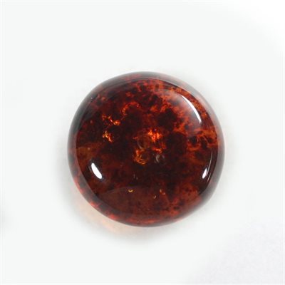 Ambre, 6.0mm, Rond, Cabochon, Orange